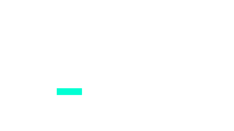 Seeg Solutions